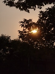 1000016438