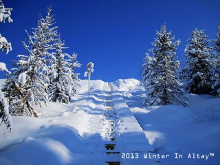 IMG_7263.jpg