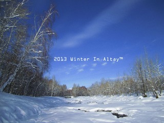 IMG_7395.jpg