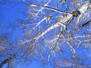 IMG_7415.jpg