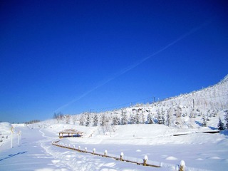 IMG_7266.jpg