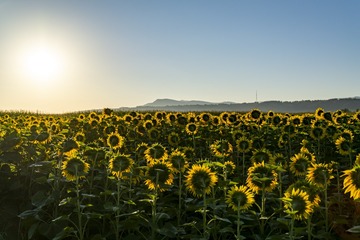 1764551