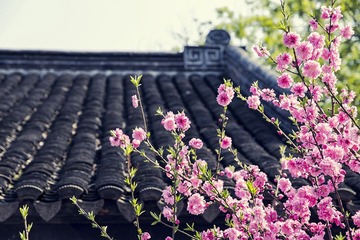 “IMG_3143”为智能对象-1.jpg