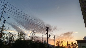 1000007454