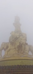 1000081476
