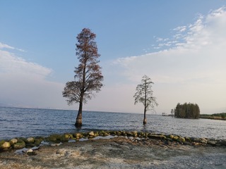 1000607728