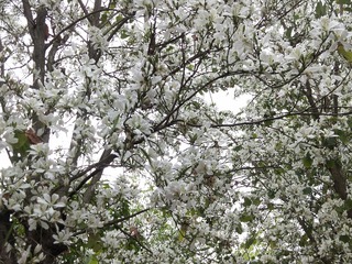 1304302