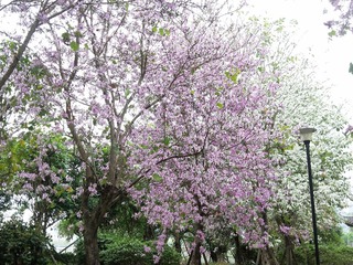 1304300