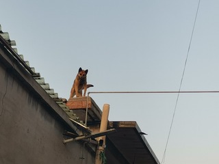 178092