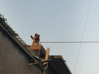 178091