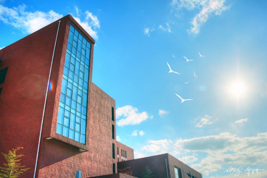 拍摄于大连理工大学西部校区