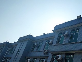1000010331