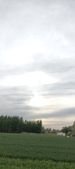1000010952