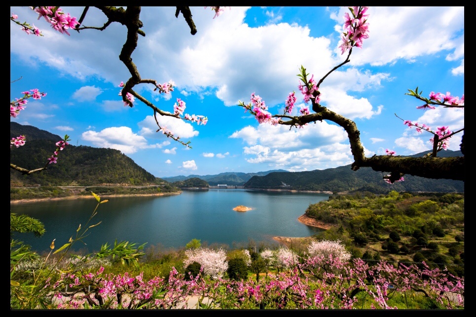 水上桃花红欲然