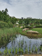 IMG_20250426_163929