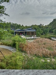 IMG_20250426_163636