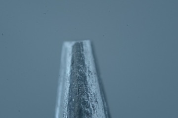 1000016802