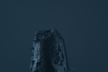 1000016801