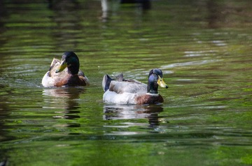 _DSC2413