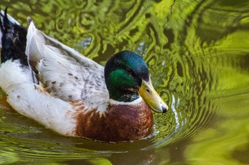 _DSC2505