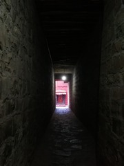 1000175524