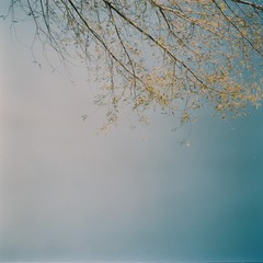 6C3B6D0C-AB02-43B3-9273-6DBD41B4FA1E