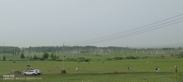 1000067293