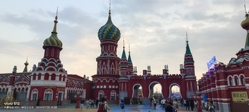 1000067628