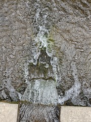 1000366017