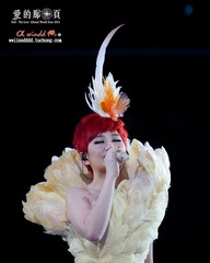 DSC07667x