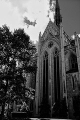 DSC00652xbws.jpg