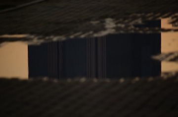 1000009474