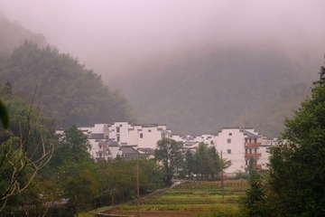364723