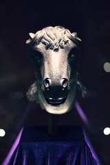 1000014383