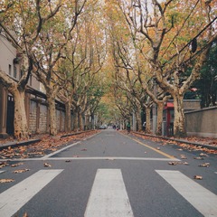 2014-11-23 121333