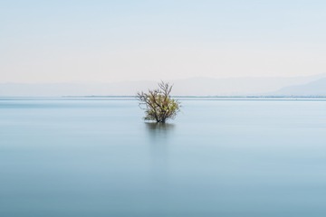 洱海