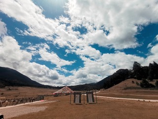 2967516