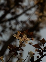 DSCF1303-2