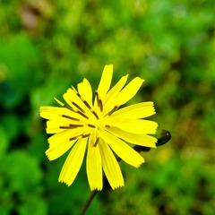 schrae-9186509.jpg