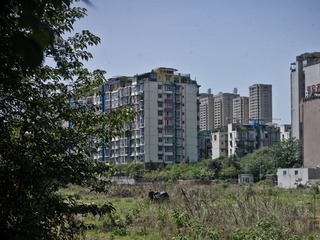 schrae-0052.jpg