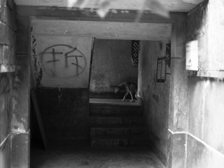 schrae-0027.jpg