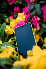 Nokia-1-5.jpg