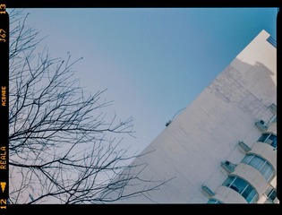 asdasf-3.jpg