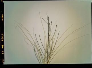 zxcxzvz-2.jpg
