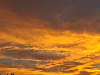 1000036404