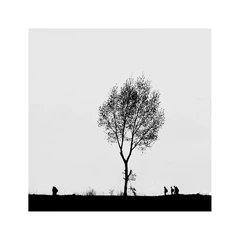 放学路上