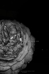 2200241