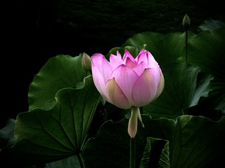 001