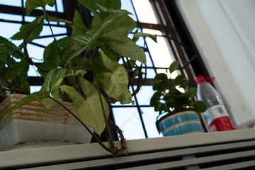 20121205-办公室.jpg
