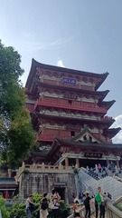 1000188428